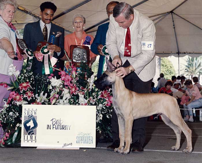 Ch. Don Lu's Unanimous Verdict - Boomer
Owned by Scott & Karen Hamlin, Co-owned by Don Carmody
Best Puppy in Futurity at Great Dane National show at 4 months old 